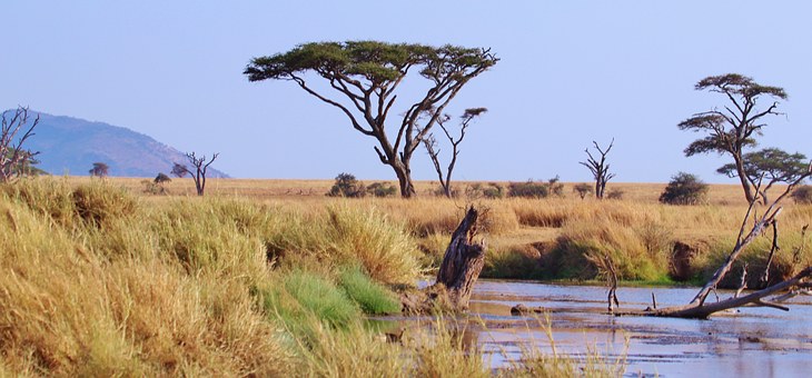 unique nature in Ethiopia